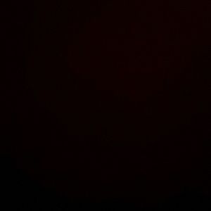 Meet your Posher, Dammon